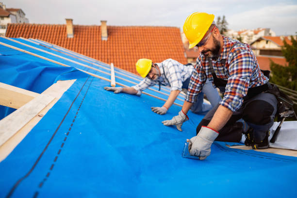 Best Metal Roofing Installation  in Canton, MO